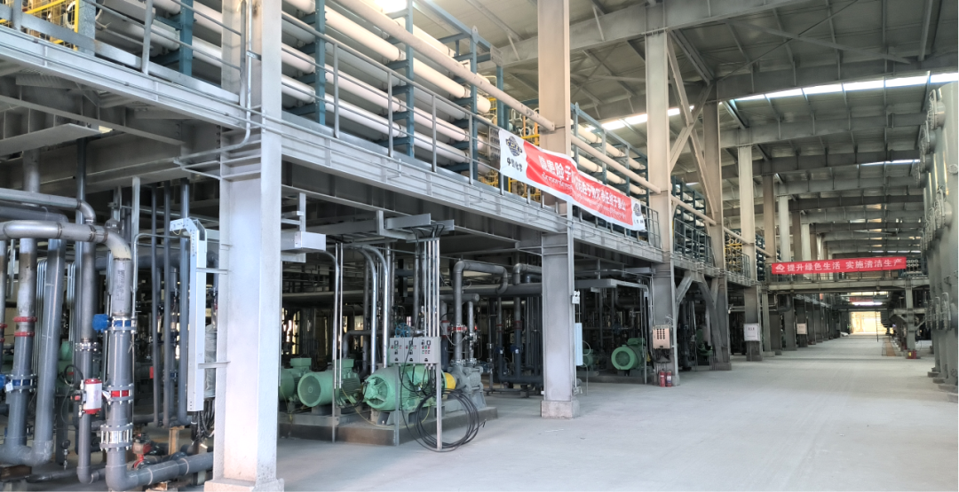 ��ͷ�� | ����Ү�κ���ֵ�ؼ�̼�����Ŀ˳���ˮ����������������������������