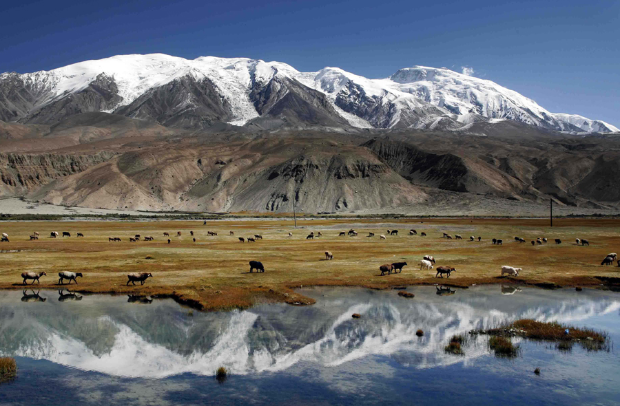 ��ͷ�� | �ĵ�ͭ�������������������÷�����JDB����Ӫҵ�½ṹ