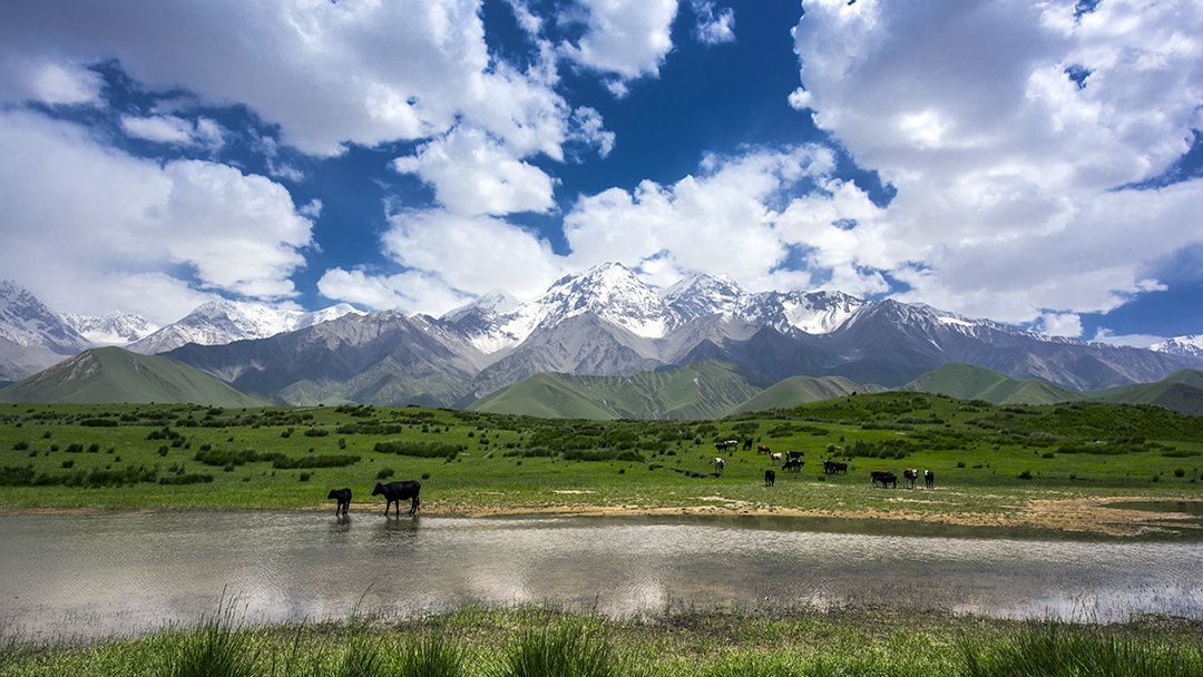 ��ͷ�� | һ����JDB�����ֳɾ�������ͭ��