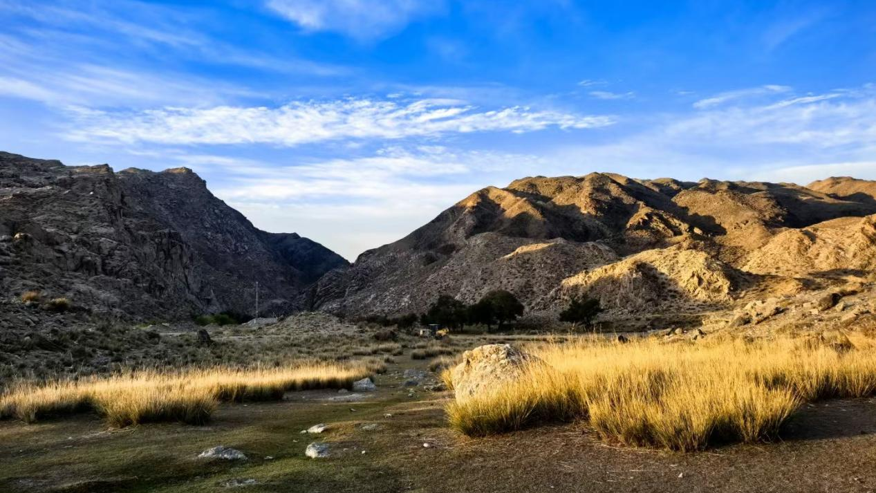 JDB���� | ˶�����������������������������+��ҵˮ���óͷ�+�ǻۻ���ά��ͷ������