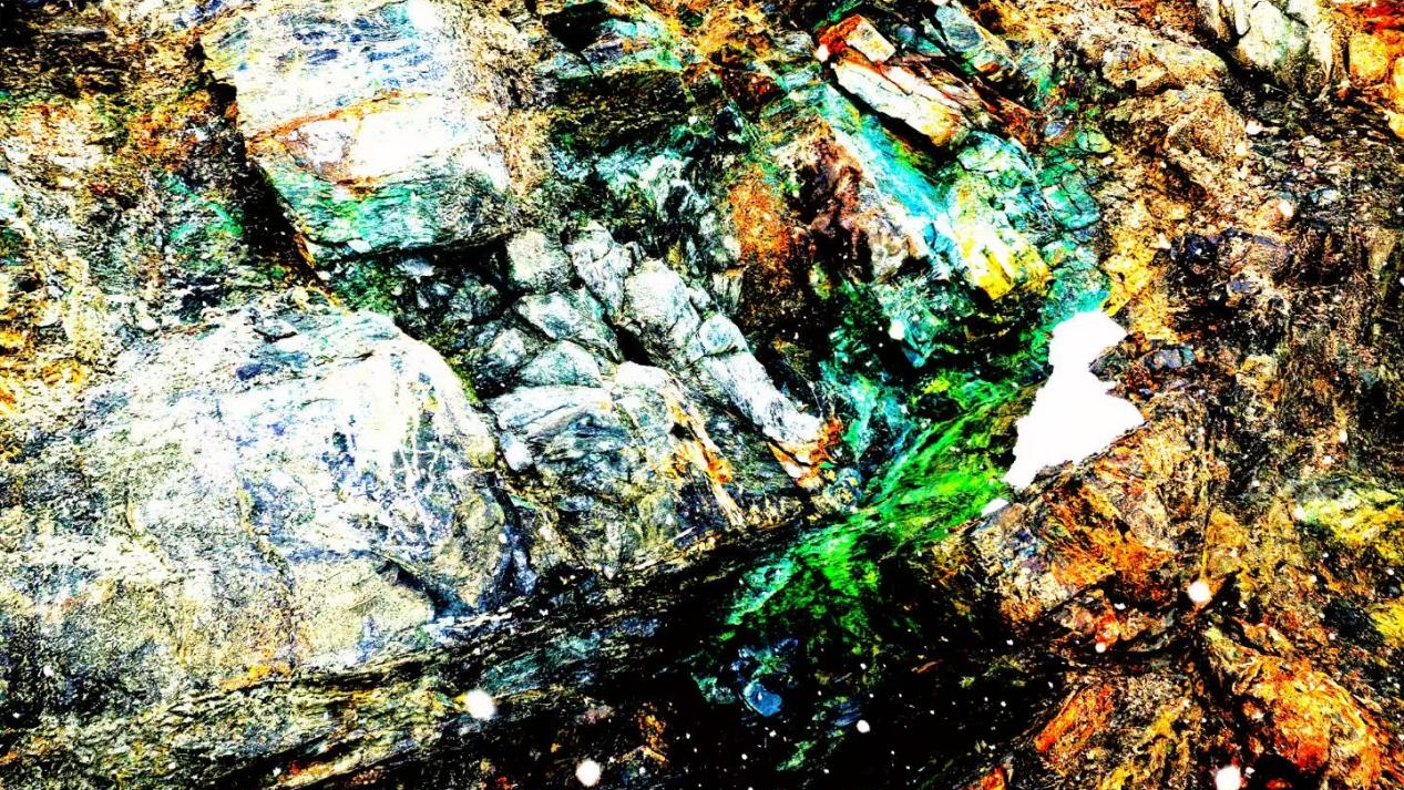 JDB���� | ˶�����������������������������+��ҵˮ���óͷ�+�ǻۻ���ά��ͷ������